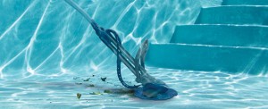 Pool Cleaner