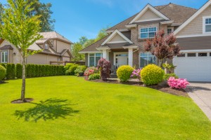 Curb Appeal
